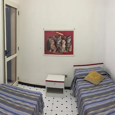 Gli Eucalipti