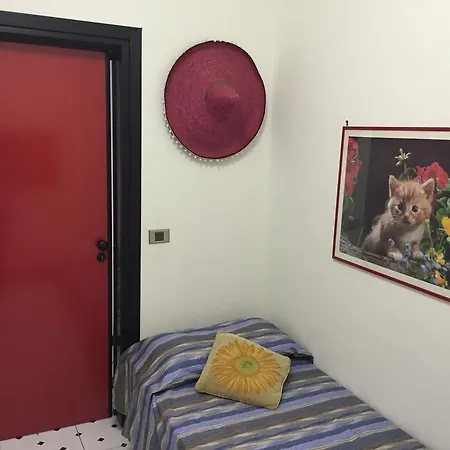 Gli Eucalipti