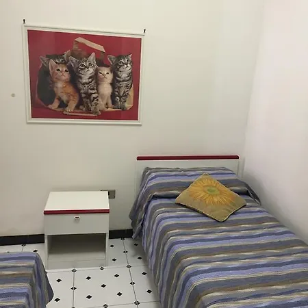 Gli Eucalipti * 加利波利