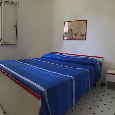 Gli Eucalipti *